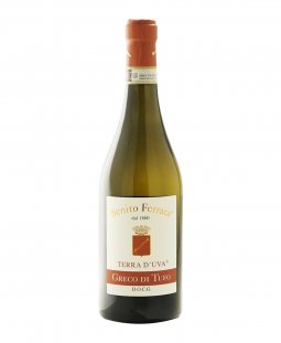 Greco di Tufo Terra d’Uva 2020